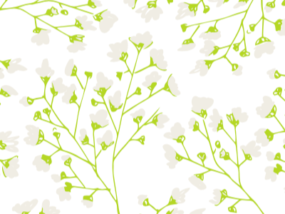 Baby's Breath Floral floral green illustration spring