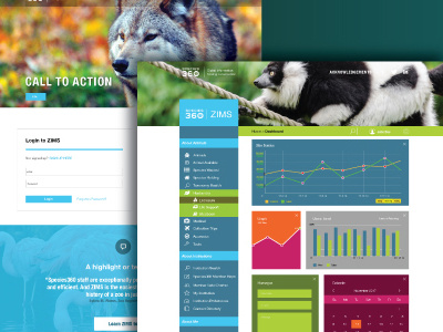 Screen comps for Species 360 Database design web