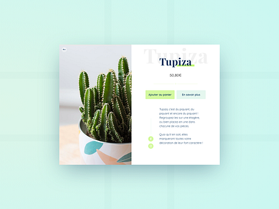 Cactus - Product sheet cactus design ecommerce green interface ui