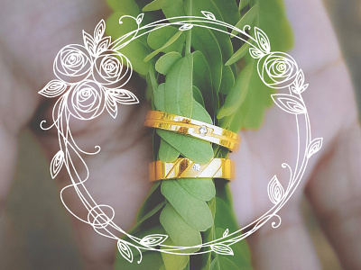 Band Rings illustration photography