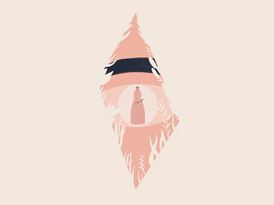 Donkeyskin book bookcover children editorial fairytales illustration