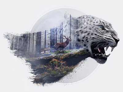 Leopard Double Exposure art direction double exposure forest leopard lightroom photoshop retouch