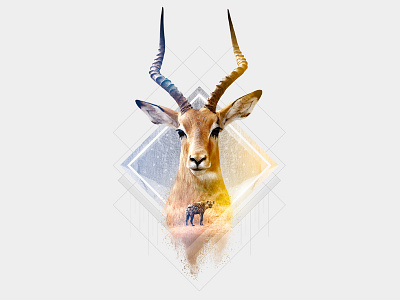 Impala animals art direction double exposure hyena impala photoshop retouch