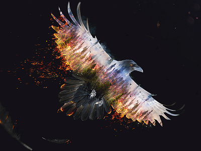 Burning Raven double exposure fire forest photoshop raven retouch