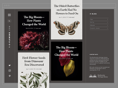 Naturalistic Blog View article blog editorial encyclopedia flower naturalistic ui ux web