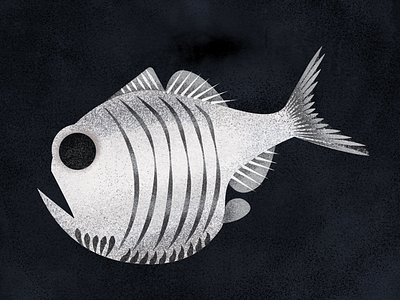 Marine hatchet fish black and white deep sea fish graphic illo illustration personal project texture vector