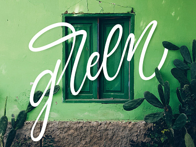 Green green lettering procreate type typography