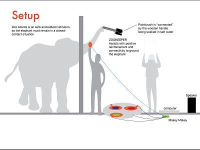 Painting Music with Elephants aci interaction design