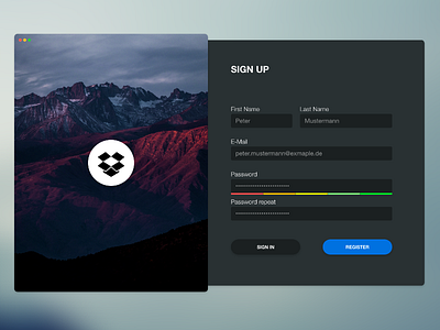 Dropbox Sign Up daily ui dailyui dropbox sign up