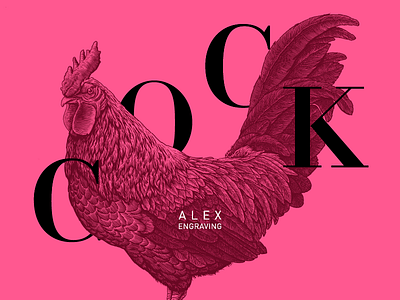 Engraving-cock cock drawing engraving freehand graphic illustration painting print