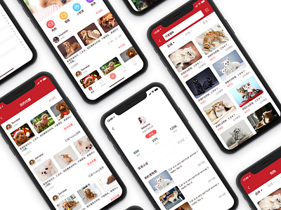 Pet adoption app interface adoption pet app interface pet pet interface red simple user experience