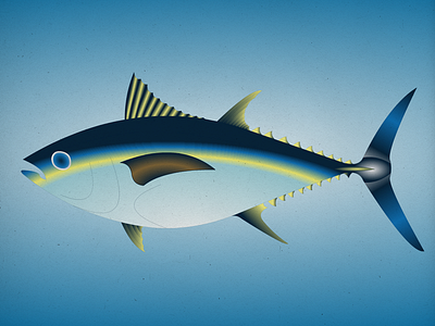 Endangered 13 Bigeyetuna 800 100dayproject 100endangeredspecies endangeredspecies illustration the100dayproject