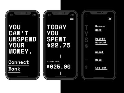 Brutalist Budget App Concept. brutalism budgeting finance iphonex