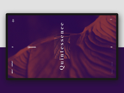 Quintessence agency concept interface minimalistic nature ui ux web website