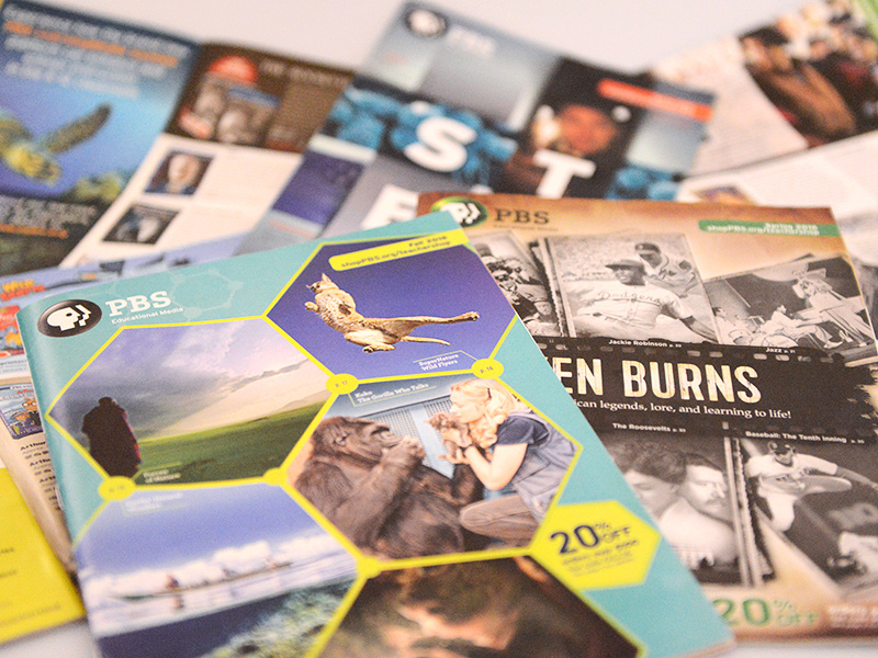 PBS_Educational Catalog by Heesoo Goh on Dribbble