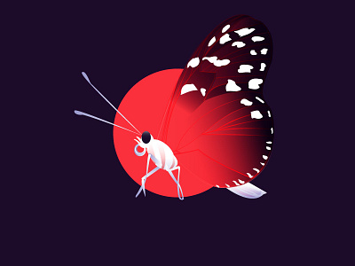 butterfly concept contrast illustrator surreal