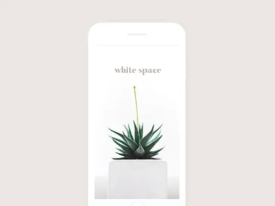 White Space minimalism simplicity whitespace