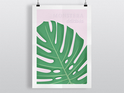 Monstera Deliciosa colombia design illustration leaf monstera monstera deliciosa plant shot