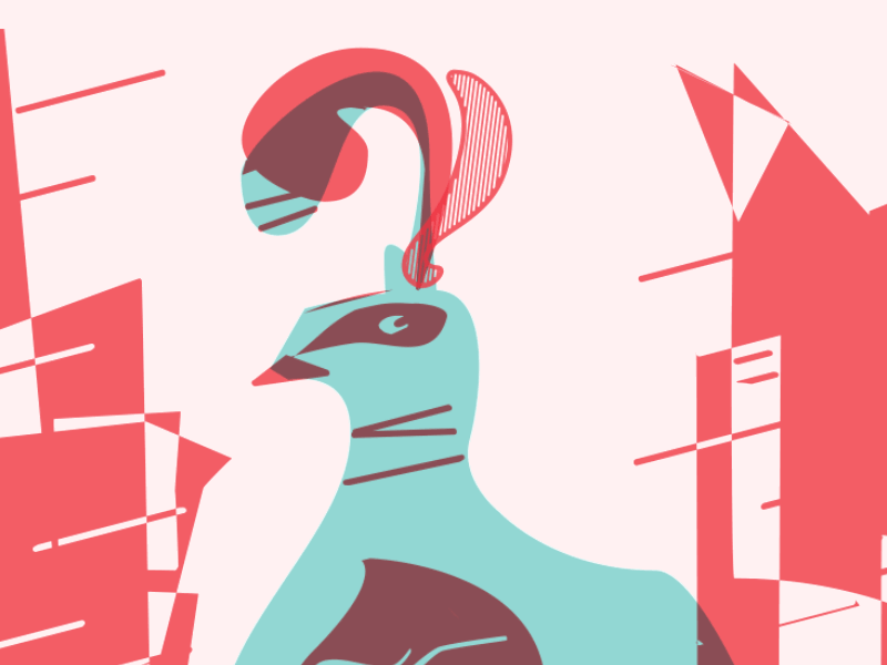 Q is for Quail abstract after effects animation collaboration design lettering modernism q transformation type typetransformation