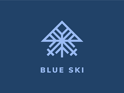 blue mountains in australia australia brand branding illustration logo mountain poland resort ski snow vector winter