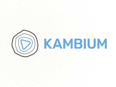 Kambium Logo beige blue branding generative kambium logo mediation personal development sand signet triangle