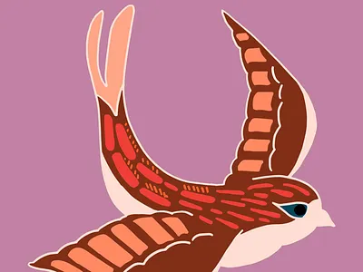 Swallow hand drawn illustration