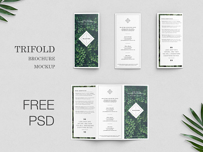 Free Trifold Brochure Mockup brochure design brochure mockup flyer free freebbble freebie mockup presentation trifold trifold brochure trifold design trifold mockup