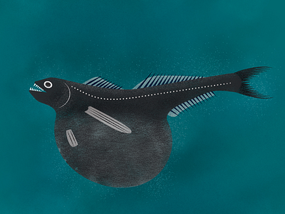 Black Swallower deep sea fish illos illustration ocean texture vector