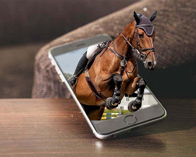 3D Horse View 3d 3d horse image 3d image 3d picture 3d view designing graphic design horse horse out of screen ui view