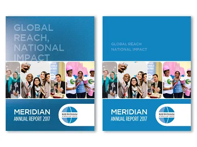 Cover Fight, Left or Right? annual report cover