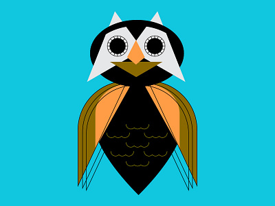 Hoot bird hoot owl wings