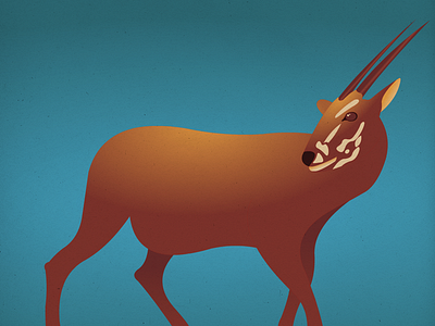 Endangered 16 Saola 100dayproject 100endangeredspecies endangeredspecies illustration the100dayproject