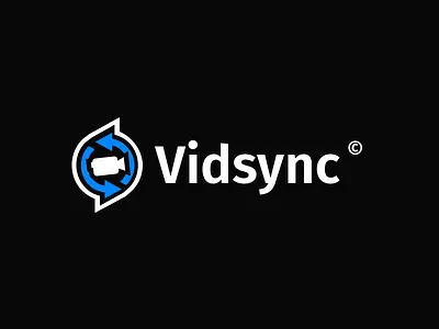 Vidsync blue camera recorder recycle sync video
