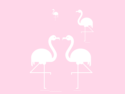 flamingo