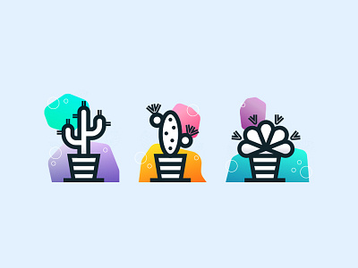 Cacti cactus colour gradient line plant pot