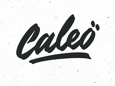 Option for logo art book calligraphy lettering print type
