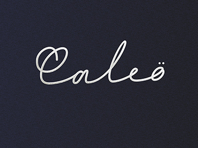 Option for logo art book calligraphy lettering print type