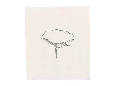 You all loved him once art charcoal davidcallow illustration line drawing organic sketch waterlilly