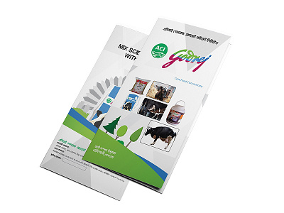 Brochure brochure flyer leaflet