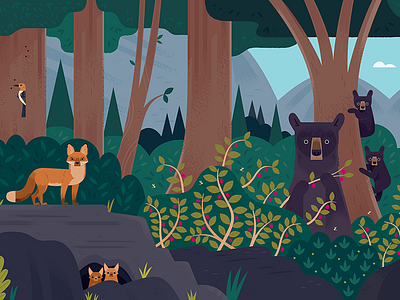 Curiosity Grove animals bears california forest foxes illustration mountains national parks nature wildlife