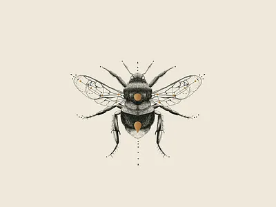W&C Sacred Bee bee geometry illustration queen sacred