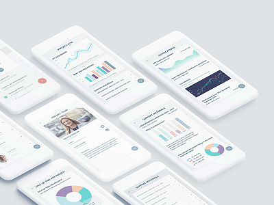 Reporting App Template for Fliplet b2b reporting apps saas