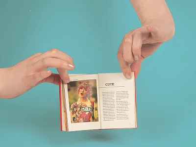 Mini book