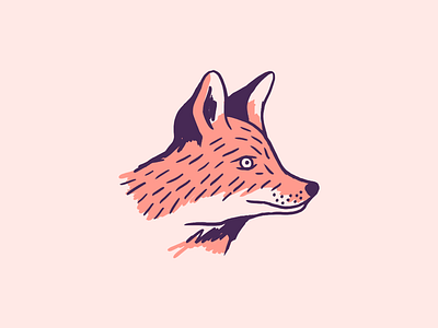 Foxy animal character design fox foxy illustration illustrator ui