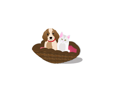 Cat and Dog animals cat cute dog illustration pet