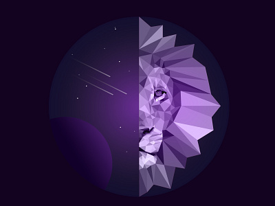 King of the universe - concept Illustration graphic design illustration lowpoly purple