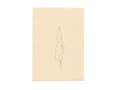 Amnesty 🌾 davidcallow dot leaf line nature original plant sketch