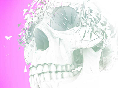 Skull fragmentation 3d fragmentation low maya poly skull