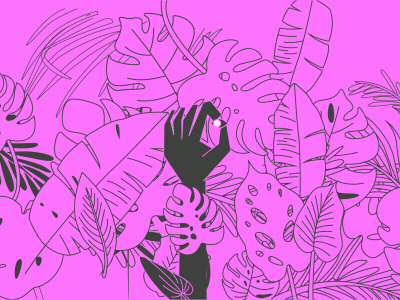 J&J 2018 - Tropical Sight 2d after effects clean flat jungle lifs lost mrfrukta path pink shape tropical