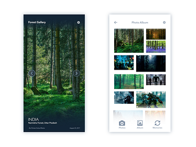 Photo Album affinity designer daily ui photo album